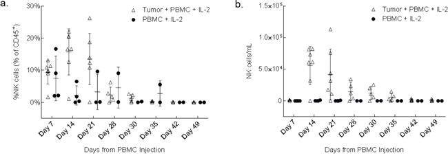 NK cells increase in peripheral blood in response to the presence of engrafted tumor.