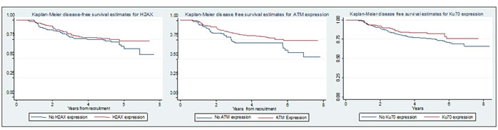 Kaplan-Meier plots showing relationship between disease free survival and g-H2AX, ATM and Ku70 expression