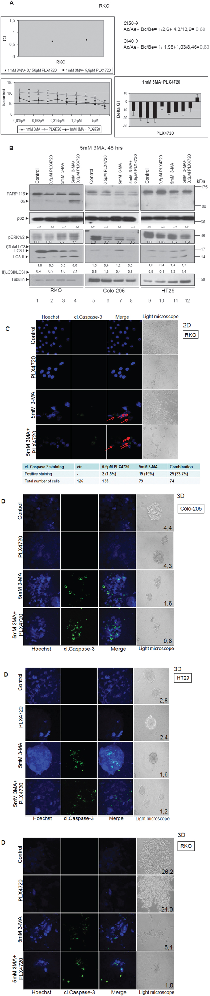 Autophagy-mediated resistance mechanism can be overcome by synergistic treatment of PLX4720 with 3-MA in BRAFV600E cells.