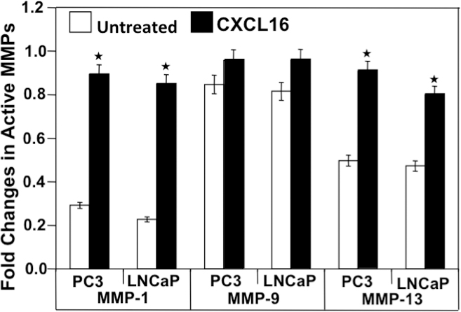 CXCL16 induced active MMP expression by PC3 and LNCaP cells.