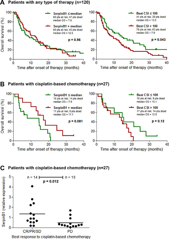 SERPINB1 gene expression predicts clinical outcome of cisplatin-based chemotherapy.