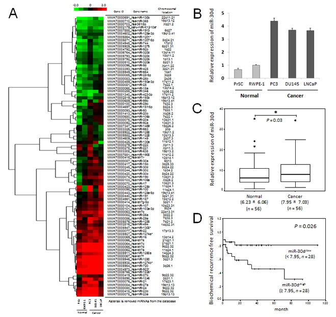 MiRNA expression in human PCa and its association with biochemical recurrence.