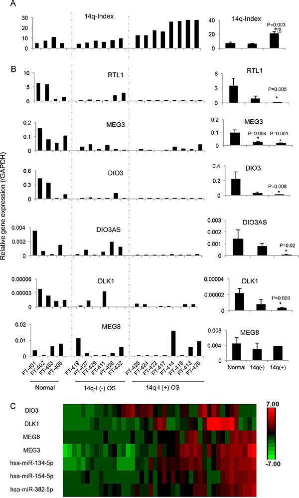 Downregulation of genes by imprinting defects at the 14q32-locus.