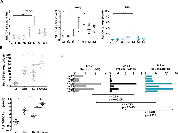 TGF-&beta;1, TGF-&beta;2 and Collagen 1a1 expression in acute and chronic CCl4- induced liver damage.