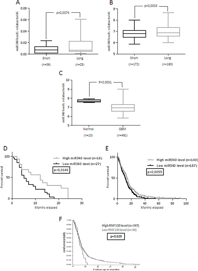 miR-340 is down-regulated in GBM and correlates with GBM prognosis.