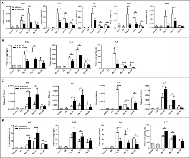 Embelin altered the cytokine milieu in the colon of CAC mice.