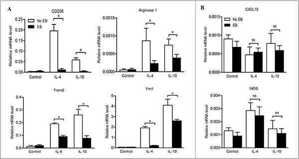 Embelin reduced M2 macrophage polarization in the presence of Th2 cytokines.