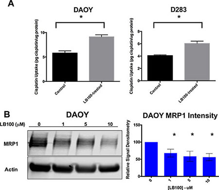 LB100 decreases cisplatin uptake and is associated with down-regulation of MRP1.