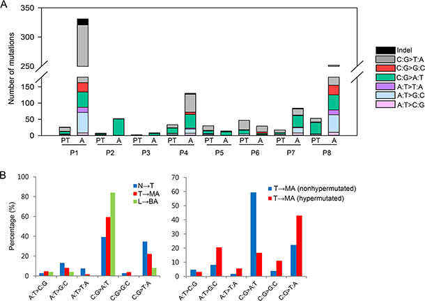 Statistical analyses of somatic mutations.