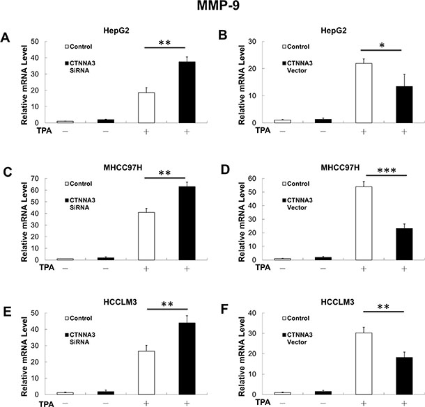 MMP-9 mRNA expression is negatively related with in CTNNA3 HCC cells.