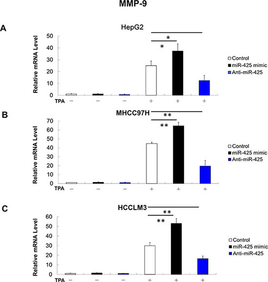 MMP-9 mRNA expression is positively related with miR-425 in HCC cells.