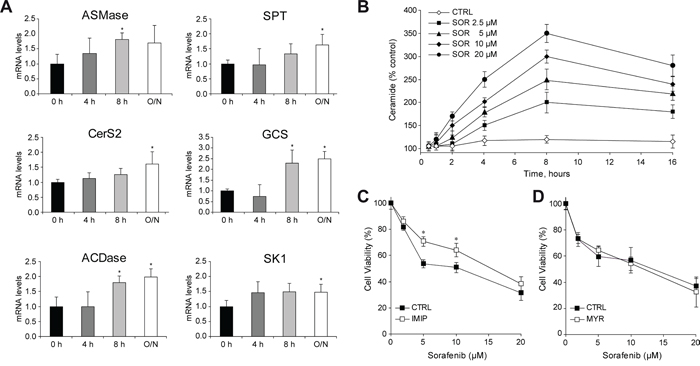 Sorafenib administration to hepatoma cells induces changes in ceramide metabolism.