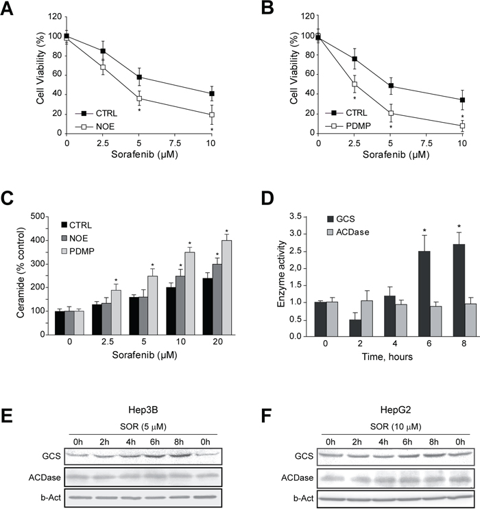 GCS is activated by sorafenib and GCS inhibition increases sorafenib toxicity in hepatoma cells.