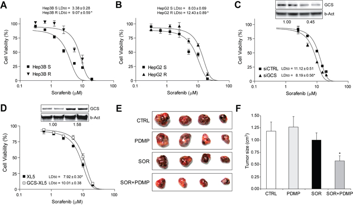 Sorafenib-resistant hepatoma cells were re-sensitized to sorafenib exposure by GCS targeting in vitro and in tumor mouse model.