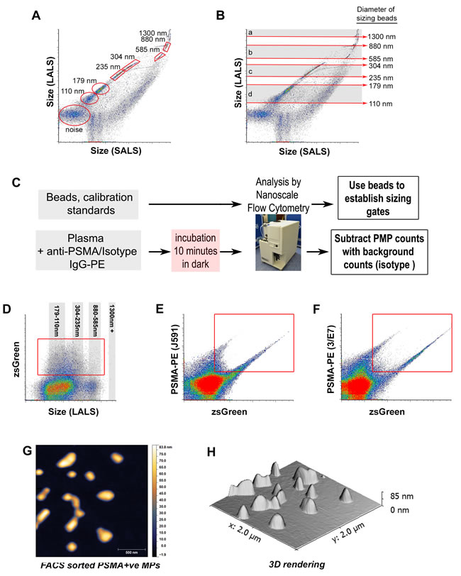 Nanoscale