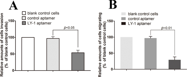 Aptamer LY-1 treatment inhibits migration and invasion of HCCLM9 cells in vitro.