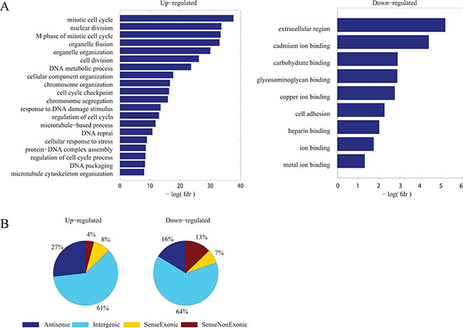 Signatures of common dys-regulated mRNAs and lncRNAs.