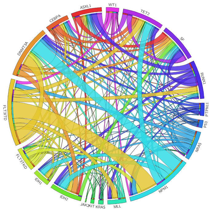 The Circos plots depicted the relative frequency and pairwise co-occurrence of genetic alterations.