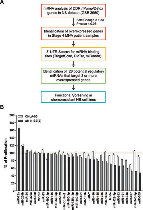 Functional screening of selected miRNAs.