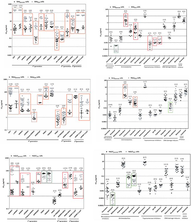 Sensitivity of parental and CDVR SiHa, HeLa and HaCaT cells to different ANPs and other chemotherapeutics.