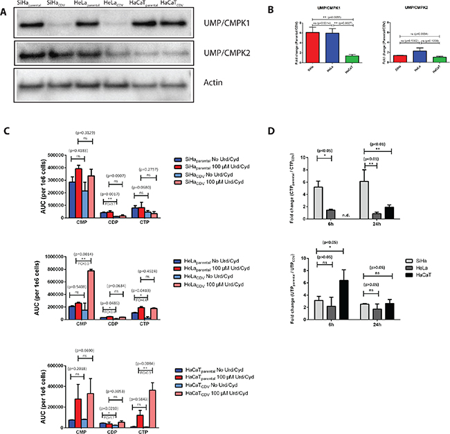 Figure 4: