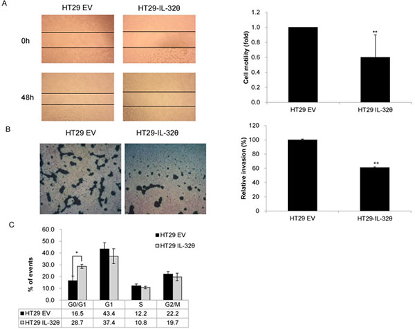 IL-32&#x03B8; inhibits colon cancer tumorigenicity in vitro.
