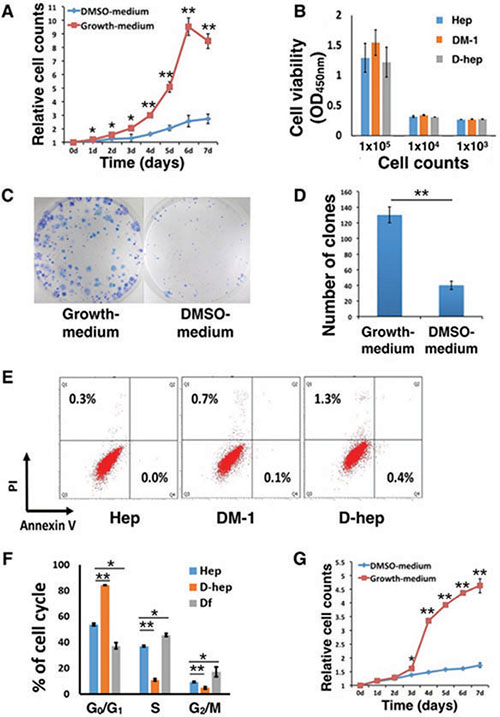 DMSO altered the in vitro proliferation ability and in vivo tumorigenicity of Hep cells.