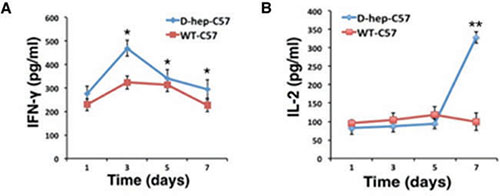 IFN-&#x03B3; and IL-2 levels were increased in D-hep-C57 mice after Hep cell challenge.