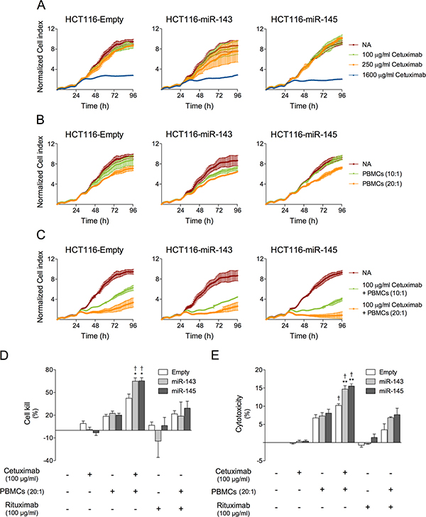 miR-143 or miR-145 overexpression increases cetuximab-mediated ADCC in HCT116 cells.