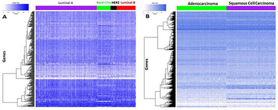 Tumor sample clustering using the identified drug sensitivity related genes.