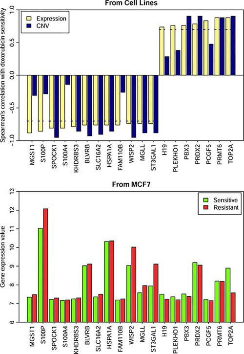 Gene expression and the CNVs of 19 genes in the resistant and sensitive cell lines.