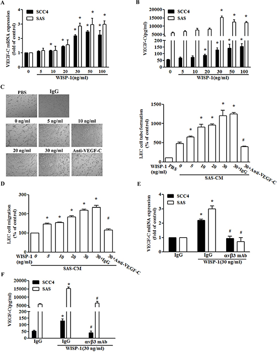 WISP-1 promotes lymphangiogenesis through up-regulation of VEGF-C in OSCC cells.