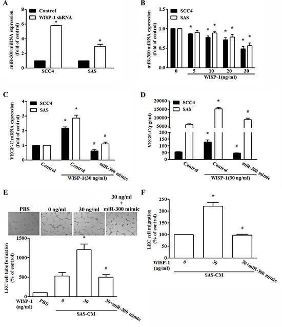 WISP-1 promotes VEGF-C expression by down-regulating miR-300.