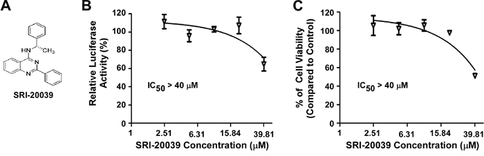 Effect of the compound SRI-20039 on Wnt/&#x03B2;-catenin signaling in colorectal cancer cells and cancer cell viability.