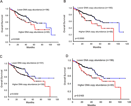 Survival prediction by DNA copy number abundance of ErbB family in 261 patients.