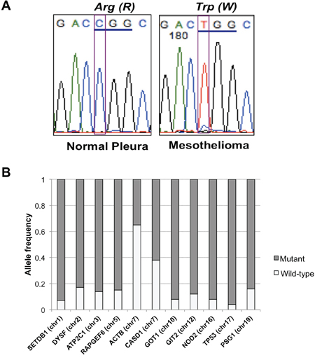 TP53 mutation and allele frequency of all variants.