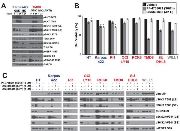 Distinct regulation of S6K1 signaling in DLBCL subtypes.