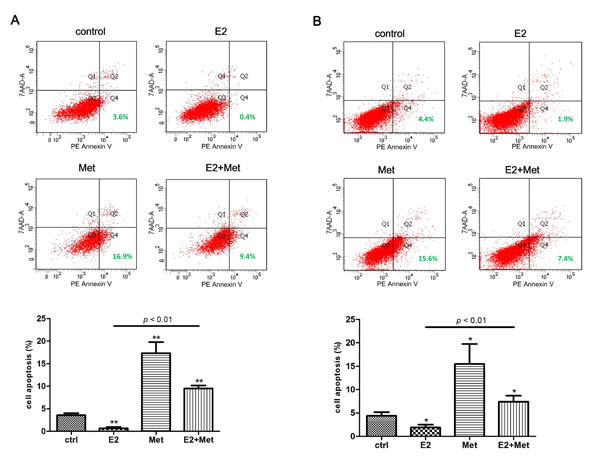 Metformin antagonizes 17&#x3b2;-estradiol-induced anti-apoptosis effect in endometrial adenocarcinoma cells.