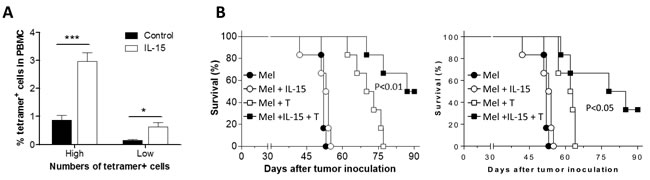 Improved antitumor effect by