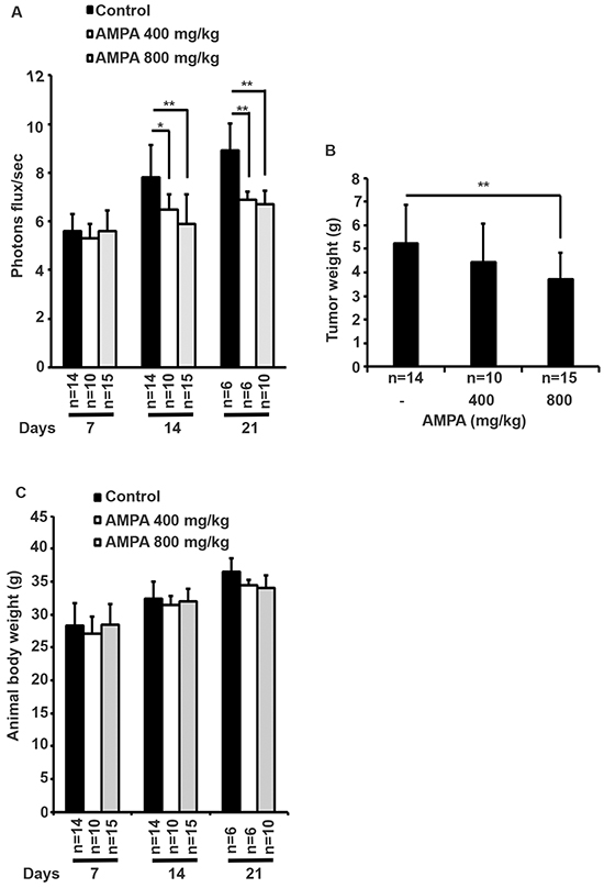 Effects of AMPA treatment on prostate tumor growth in athymic nude mice.