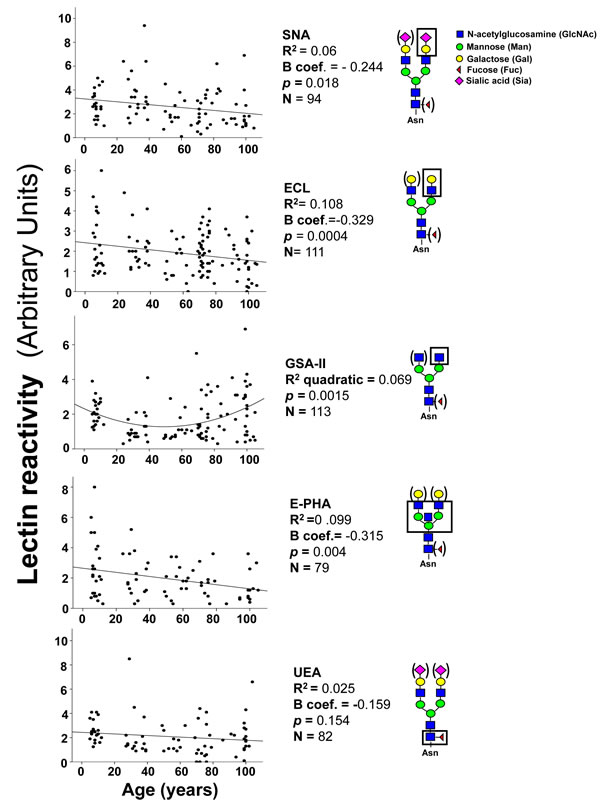 Lectin blot analysis of IgG glycosylation.