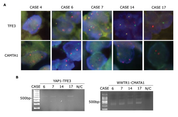 Figure 2: