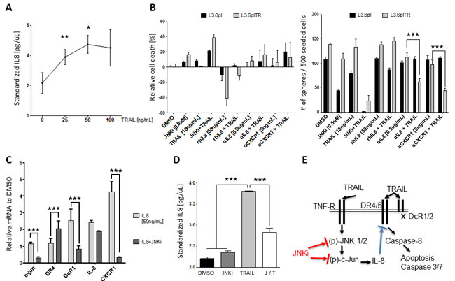 TRAIL resistance is mediated by autocrine IL-8 downstream of JNK.