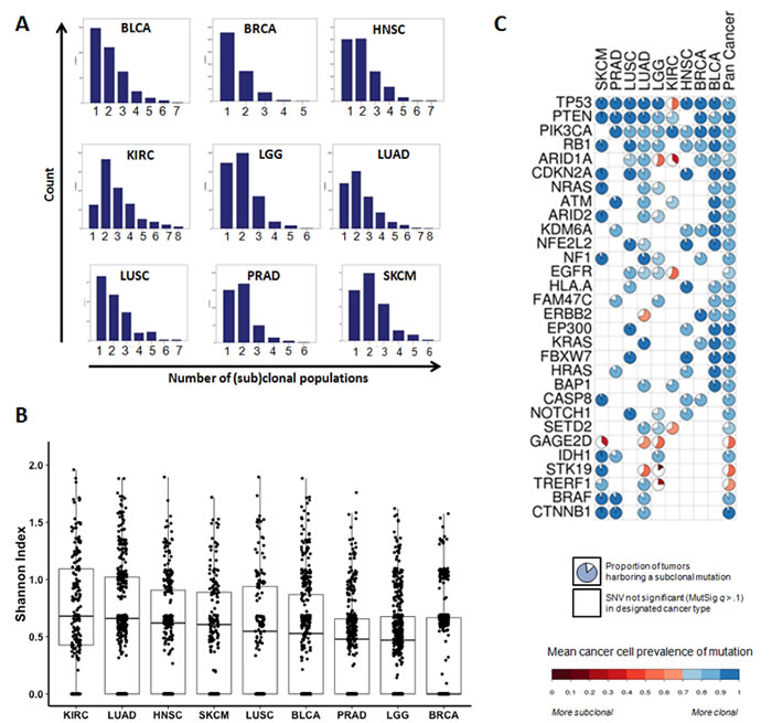 The landscape of intratumor heterogeneity across different types of cancer.