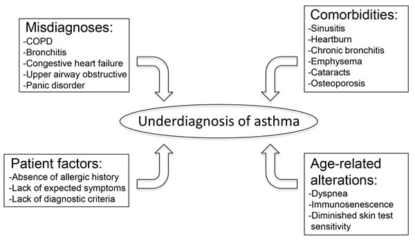 This schematic highlights the common factors that lead to underdiagnosis of asthma in the elderly population.