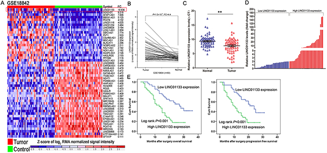 Relative LINC01133 expression in NSCLC tissues and its clinical significance.