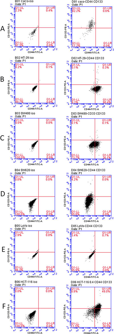 Co-expression of CD44 and CD33 in variable colorectal cancer cell lines as determined by flow cytometry.