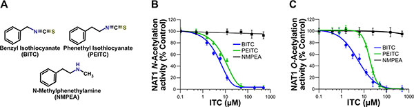 Dose-dependent inhibition of NAT1 activity by the aralkyl isothiocyanates benzyl isothiocyanate (BITC) and phenetyl isothiocyanate (PEITC).