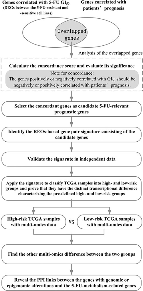 The flowchart for depicting the development, validation and application of the 5-FU-relevant prognostic signature.