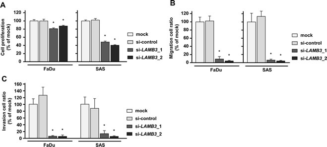 Effects of LAMB3 knockdown by si-LAMB3 transfection on HNSCC cell lines, FaDu and SAS.